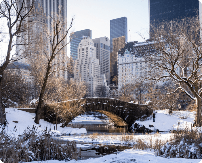 Book Cheap Airline Tickets to New York